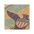 Boy Scouts Emblem